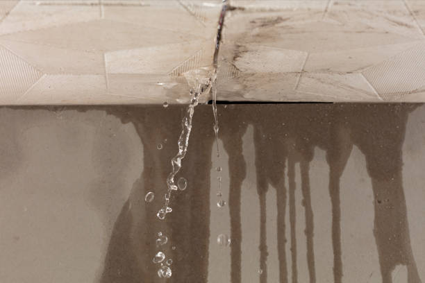 Professional Structural Drying technician working in Chippewa Lake, MI